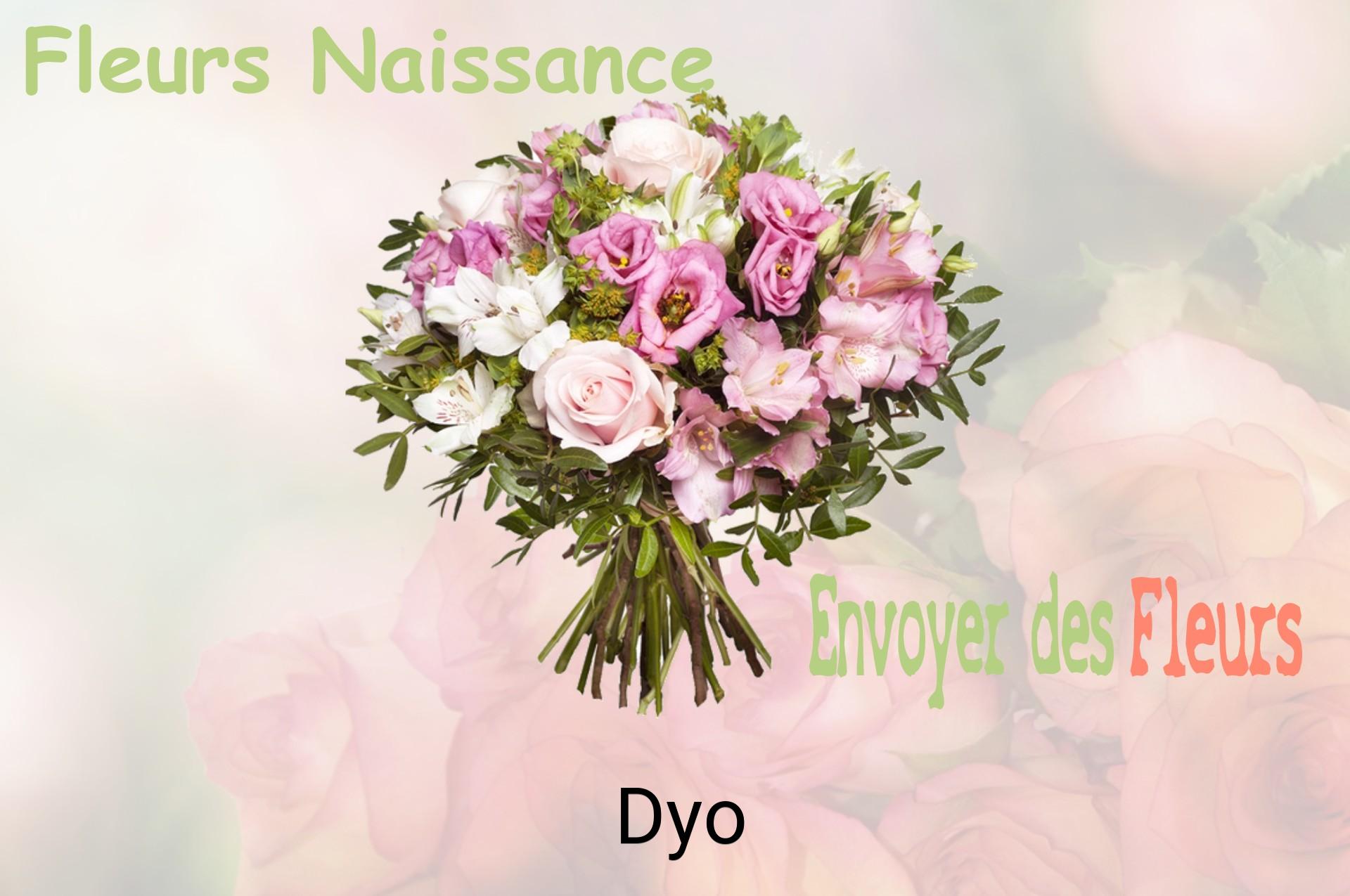Bouquet de fleurs de naissance livré à Dyo